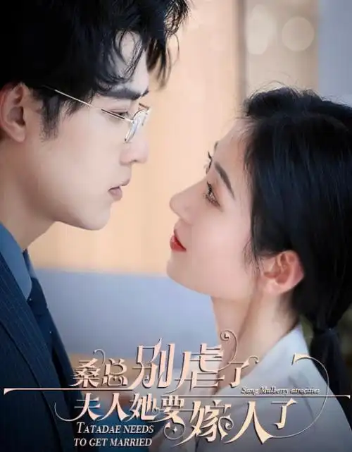 总裁的替身新娘短剧免费在线观看
